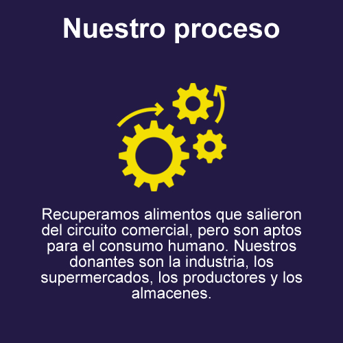 procesoss11